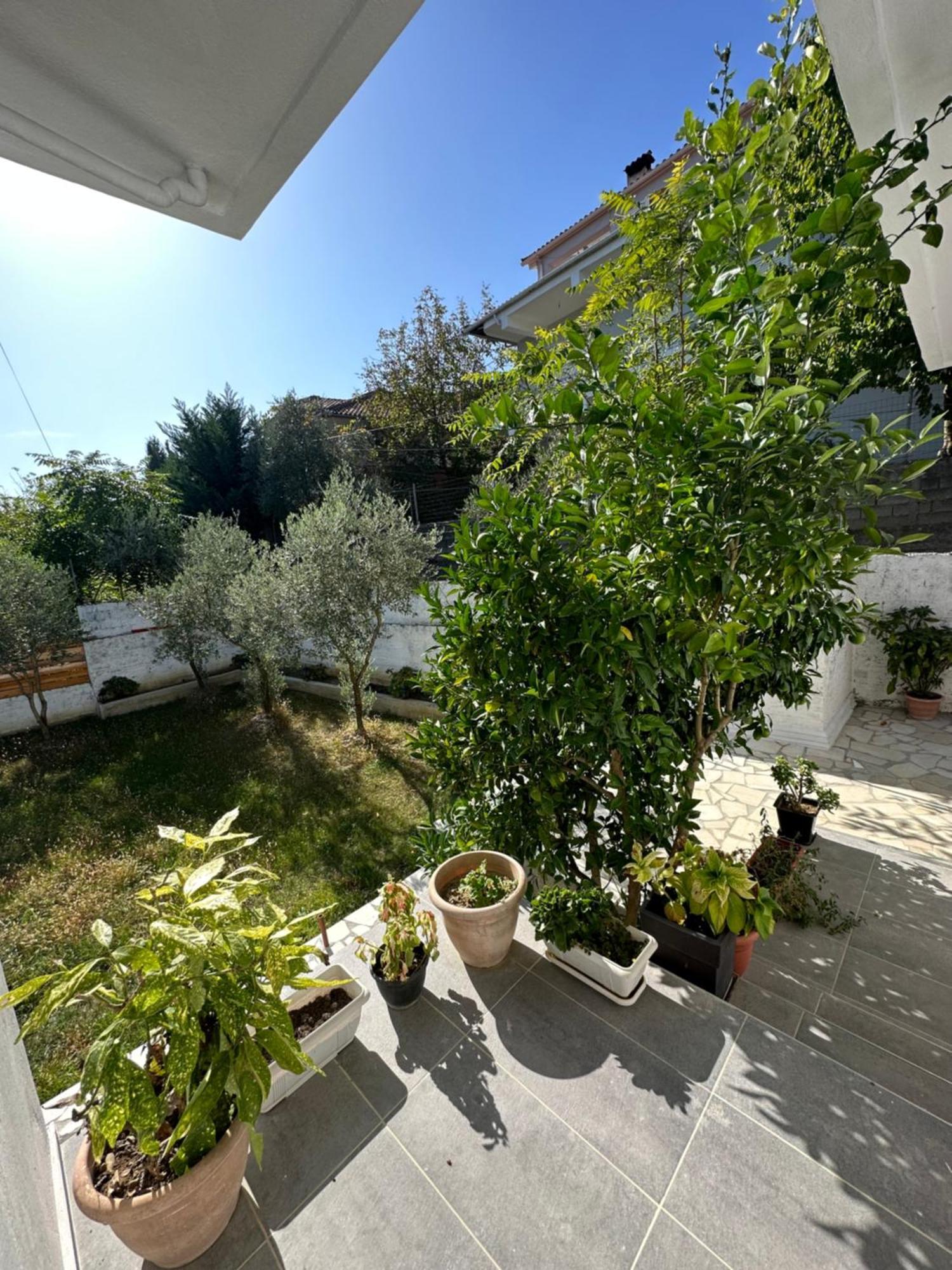 Villa Braho Gjirokastër 外观 照片