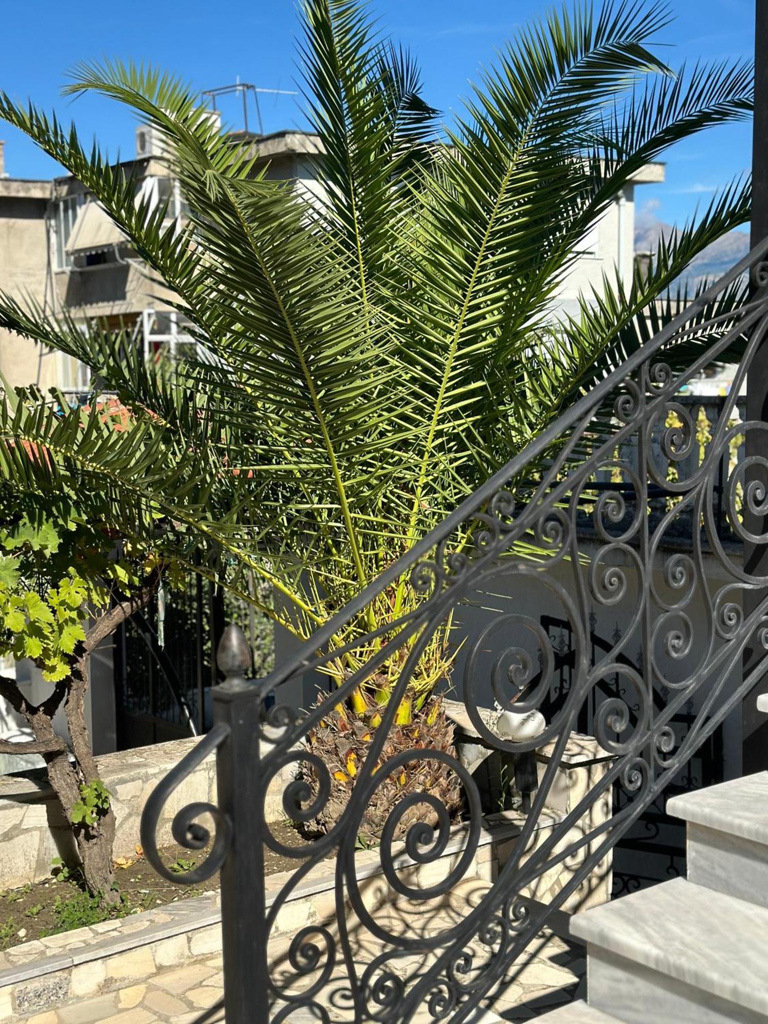 Villa Braho Gjirokastër 外观 照片