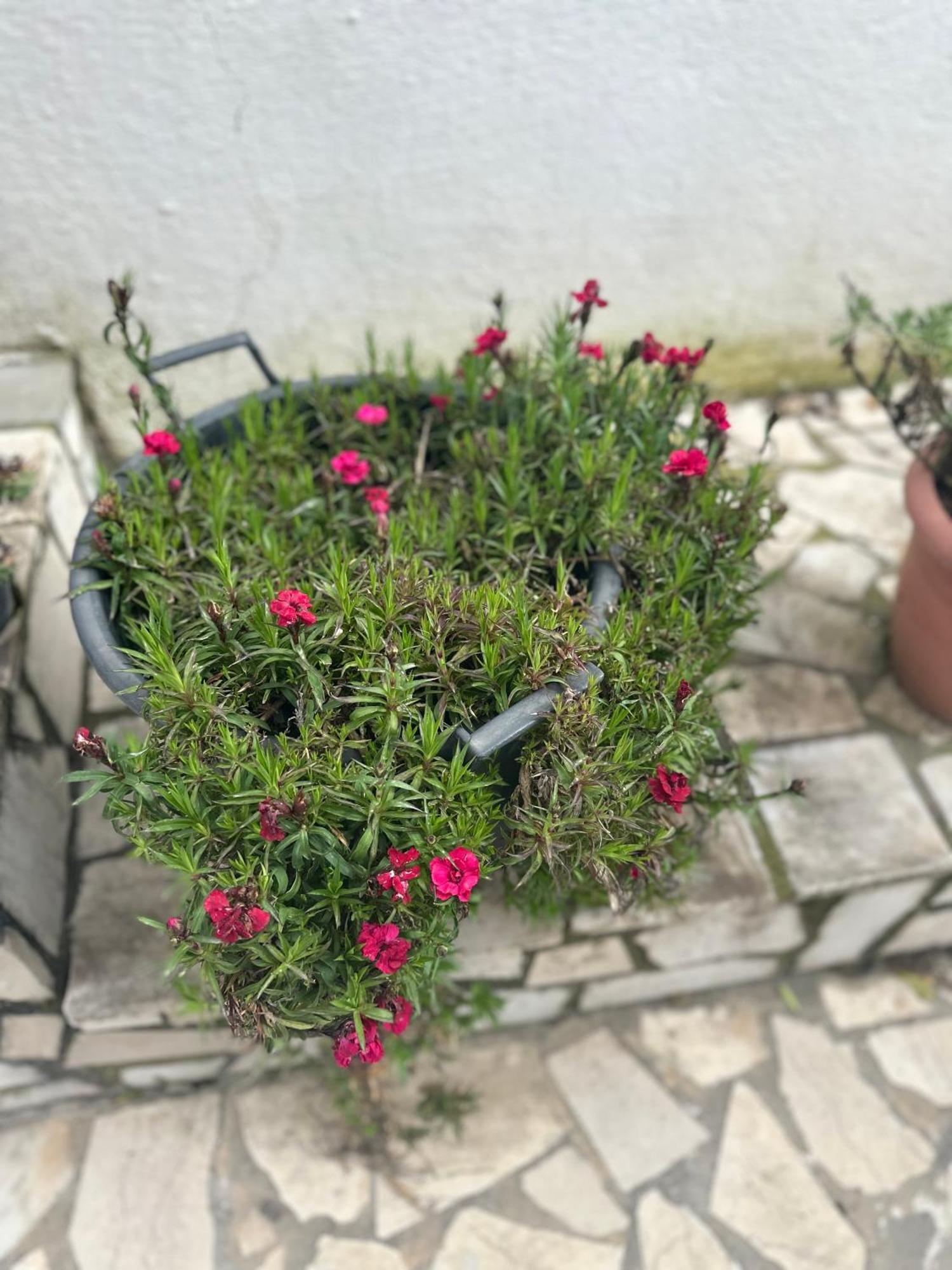 Villa Braho Gjirokastër 外观 照片
