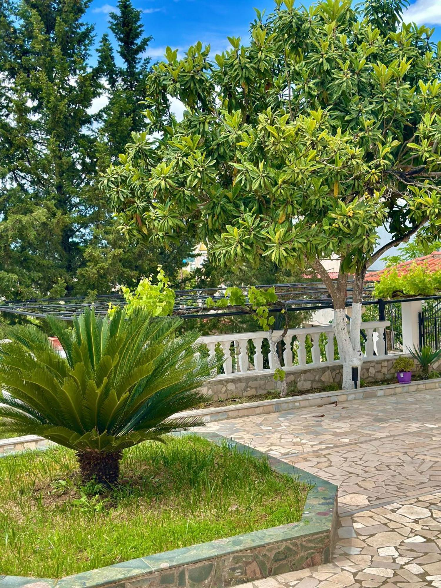 Villa Braho Gjirokastër 外观 照片