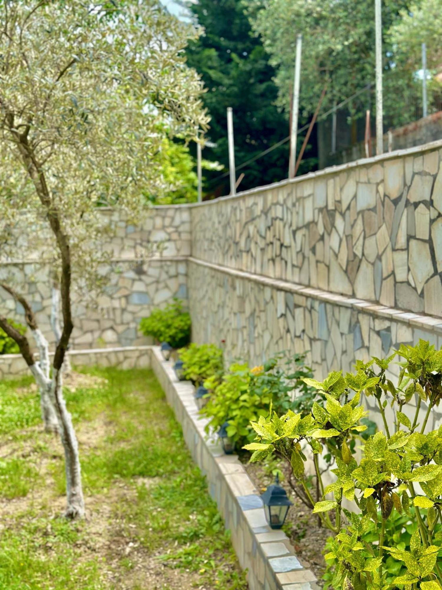 Villa Braho Gjirokastër 外观 照片
